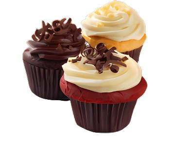 Officia ducimus iure