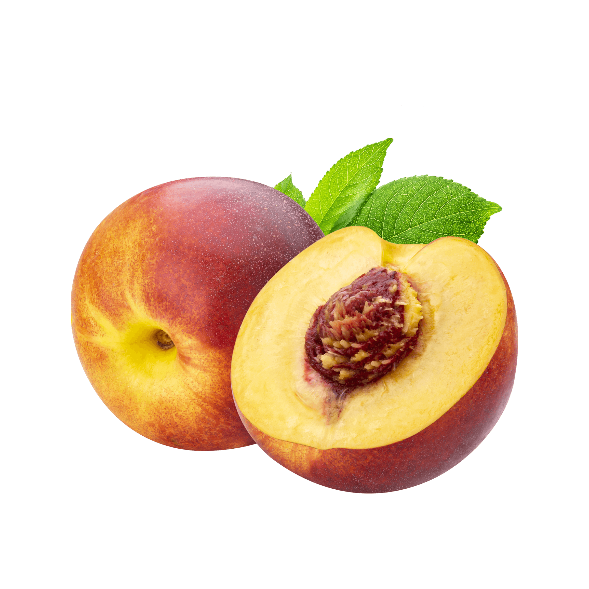 Blanditiis fugit fugiat