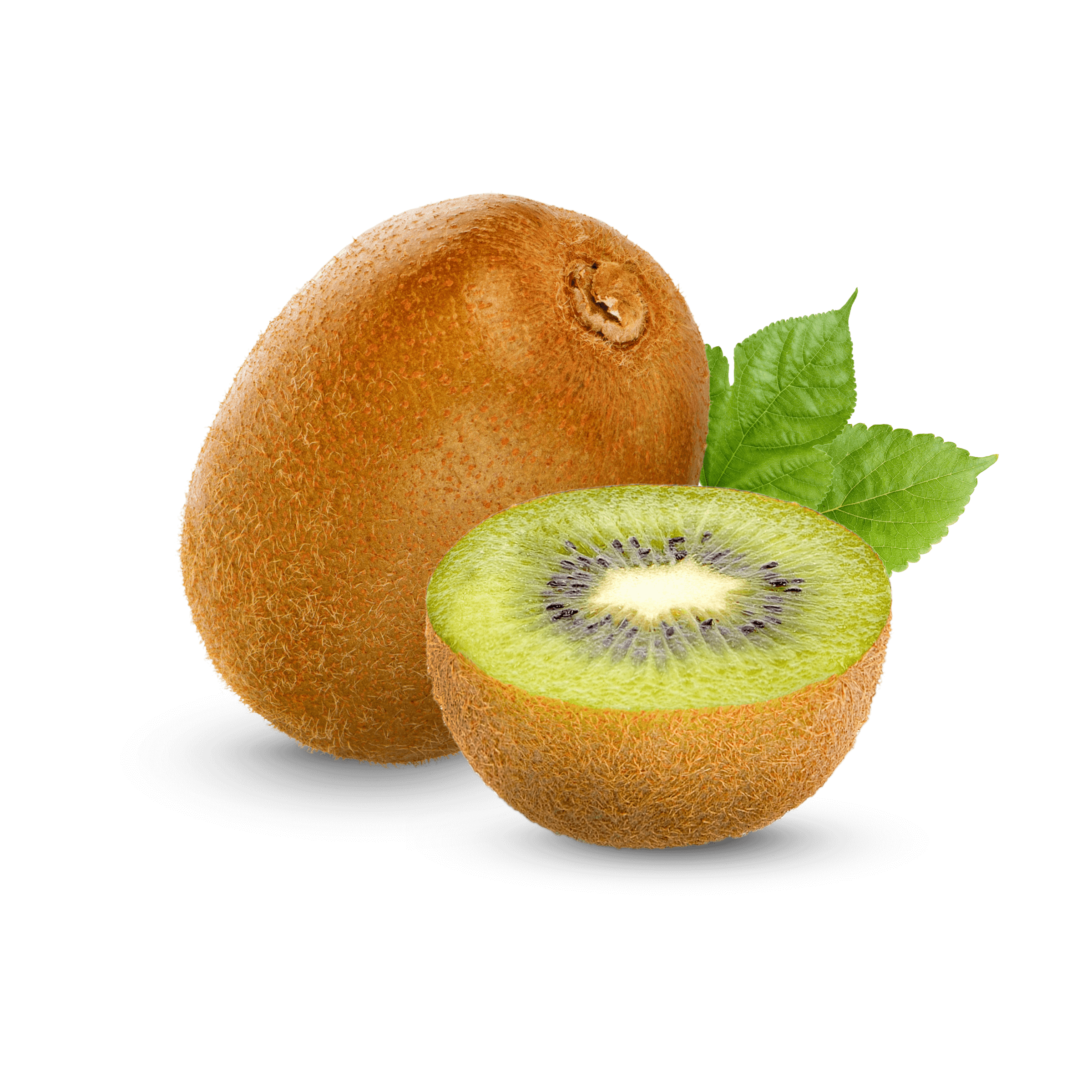 Accusantium et dolores